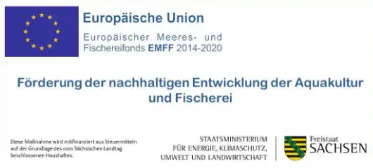 Europäische Union Europäischer Meeres- und Fischereifonds EMFF 2014-2020. Förderung der nachhaltigen Entwicklung der Aquakultur und Fischerei. Diese Maßnahme wird mitfinanziert aus Steuermitteln auf der Grundlage des vom Sächsischen Landtag beschlossenen Haushaltes. Freistaat Sachsen Staatsministerium für Energie, Klimaschutz, Umwelt und Landwirtschaft.