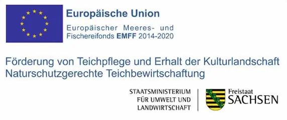 Europäische Union Europäoscher Meeres- und Fischreifonds EMFF 2014-2020. Förderung von Teichpflege und Erhalt der Kulturlandschaft Naturschutzgerechte Teichbewirtschaftung. Freistaat Sachsen Staatsministerium für Umwelt und Landwirtschaft.