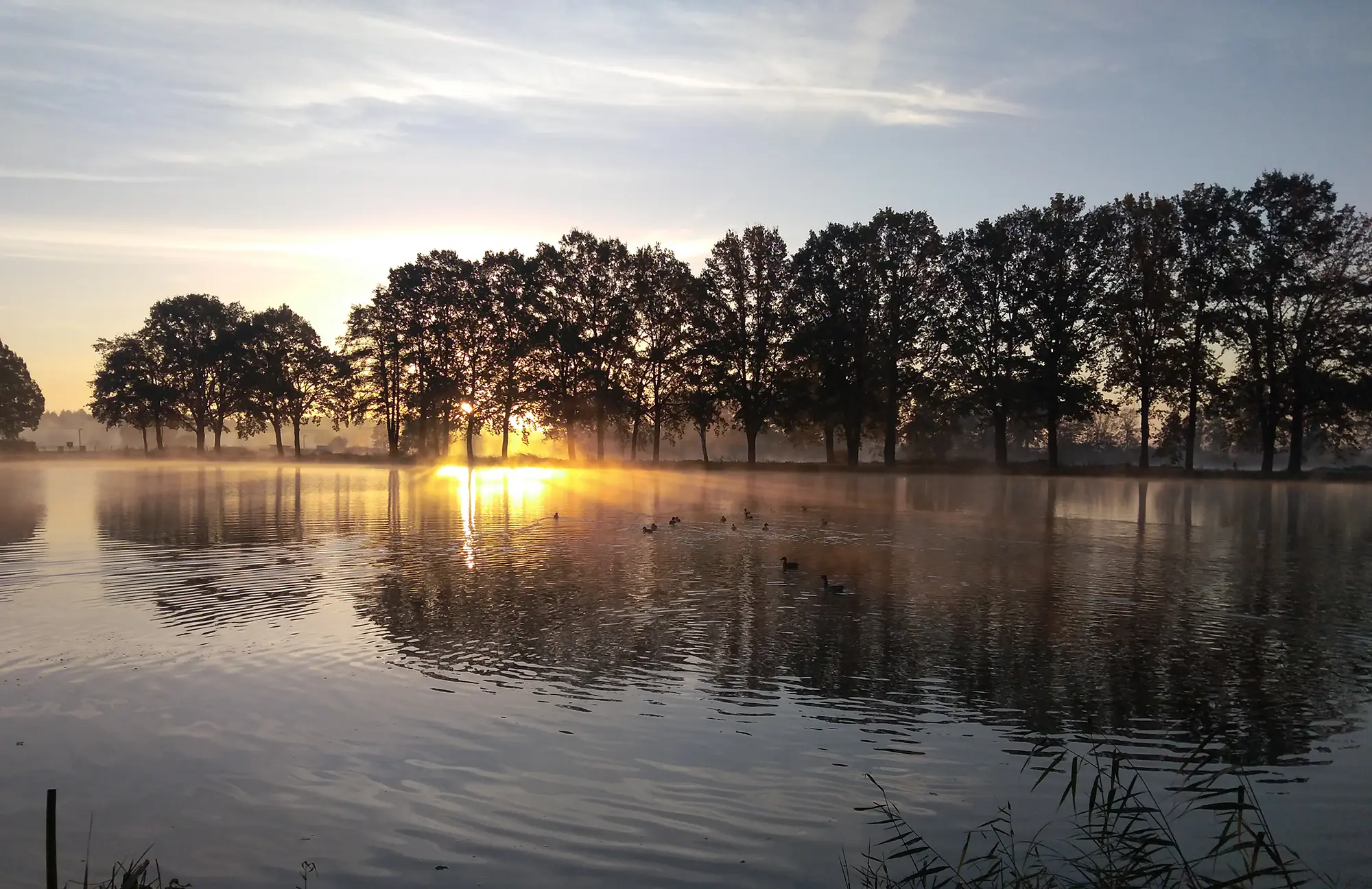 Sonnenaufgang am Teich